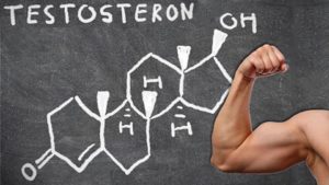 Tesztoszteron